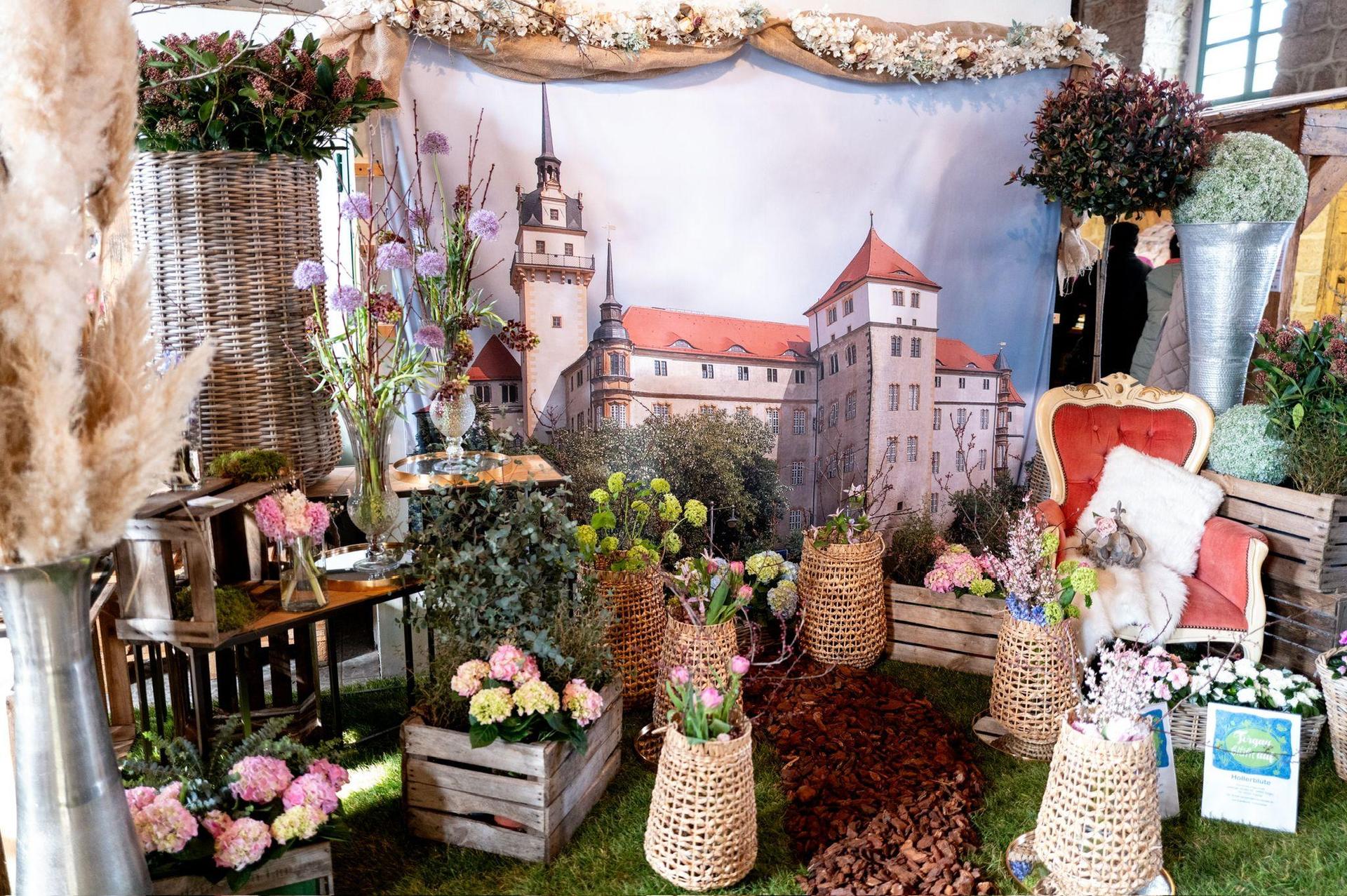 Die Torgauer Frühblüher-Ausstellung findet bereits zum 7. Mal statt. (Foto: Harald Alex)