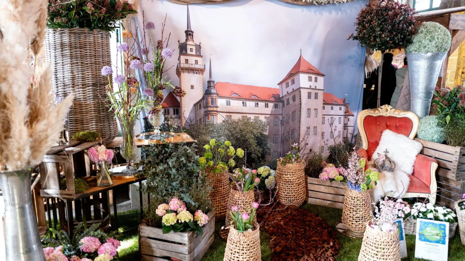 Die Torgauer Frühblüher-Ausstellung findet bereits zum 7. Mal statt. (Foto: Harald Alex)