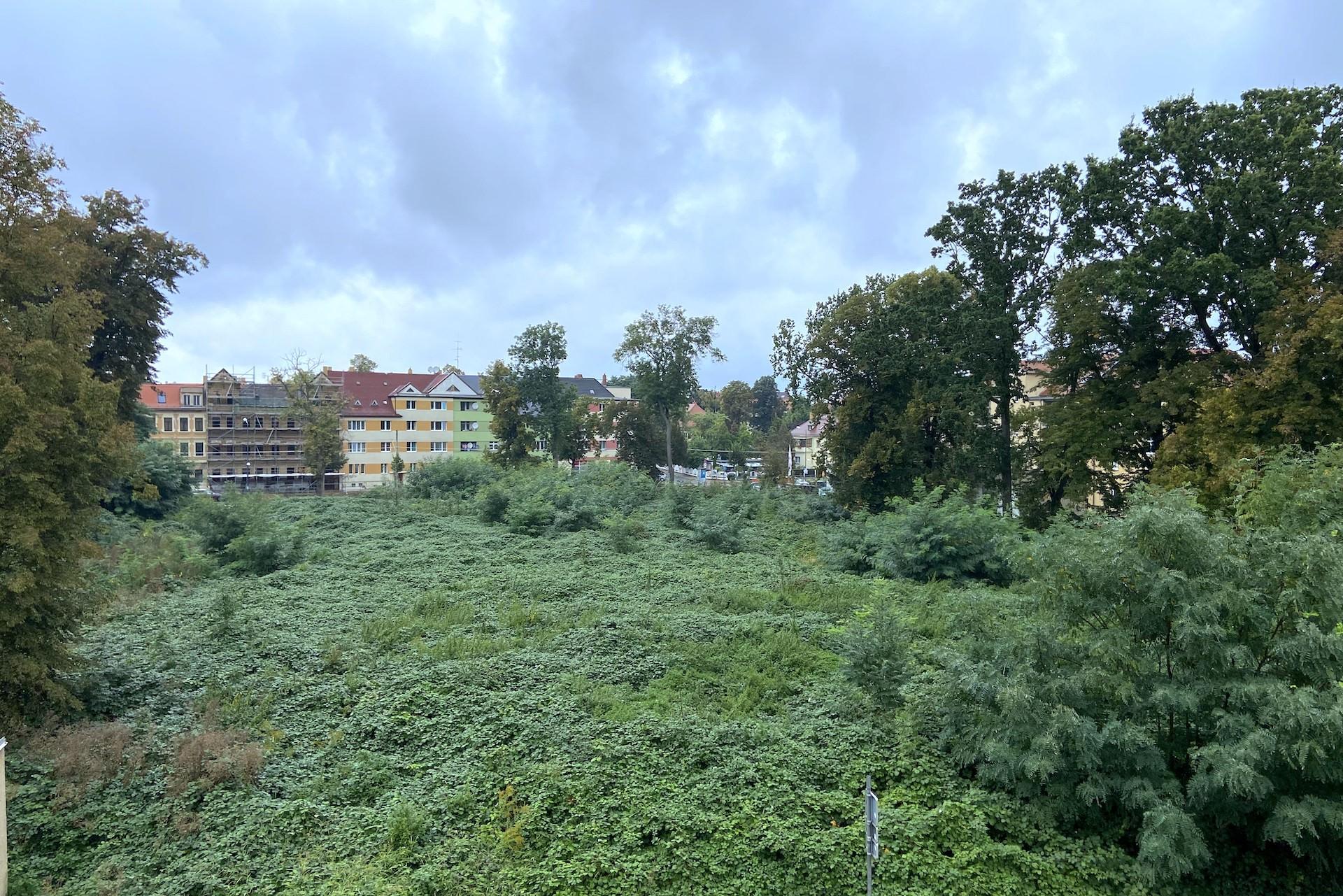 Bogumilspark kommt: Stadträte und Investoren haben Einigung erzielt (Foto: taucha-kompakt.de)