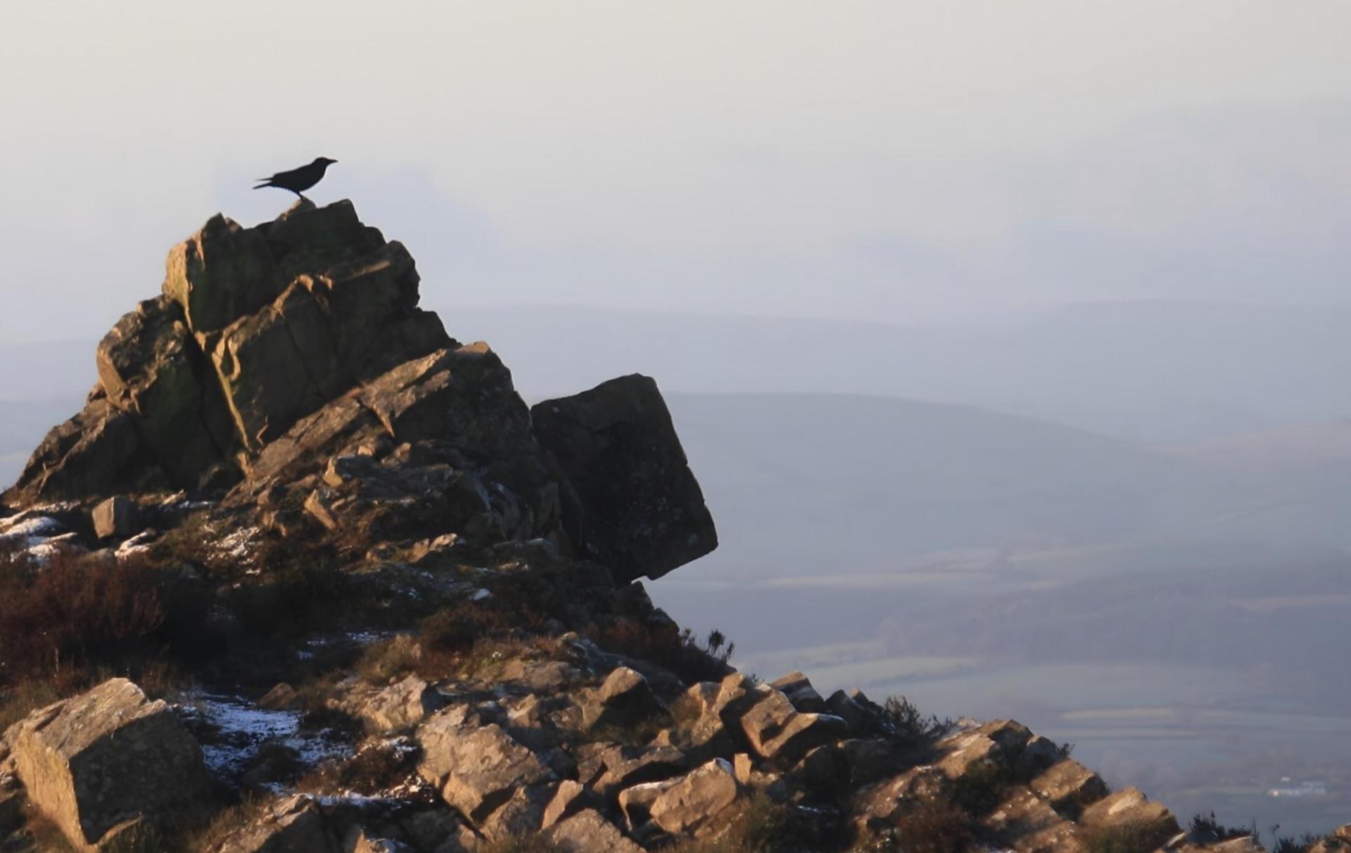 „On a Ravens Wing” heißt eine Veranstaltung der Band „Windig Path” (Foto: Winding Path)