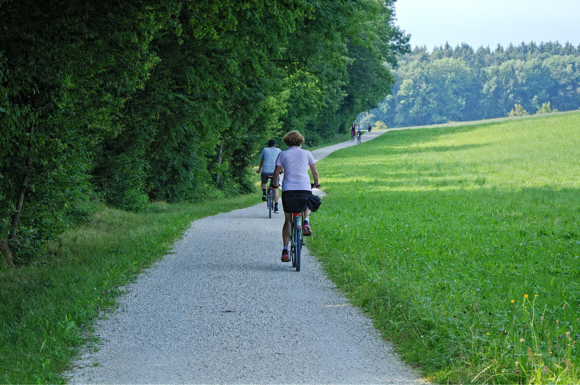 Landkreis baut bis Ende 2024 acht Radwege aus (Foto: nordsachsen24.de)