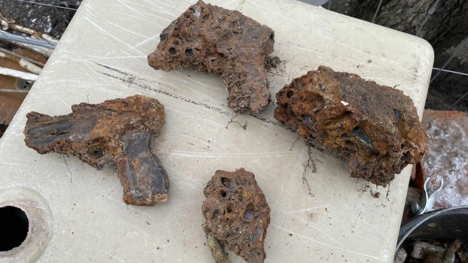 Freitag: Spendenaktion für Ehrenberg-Gymnasium Delitzsch (Foto: nordsachsen24.de)