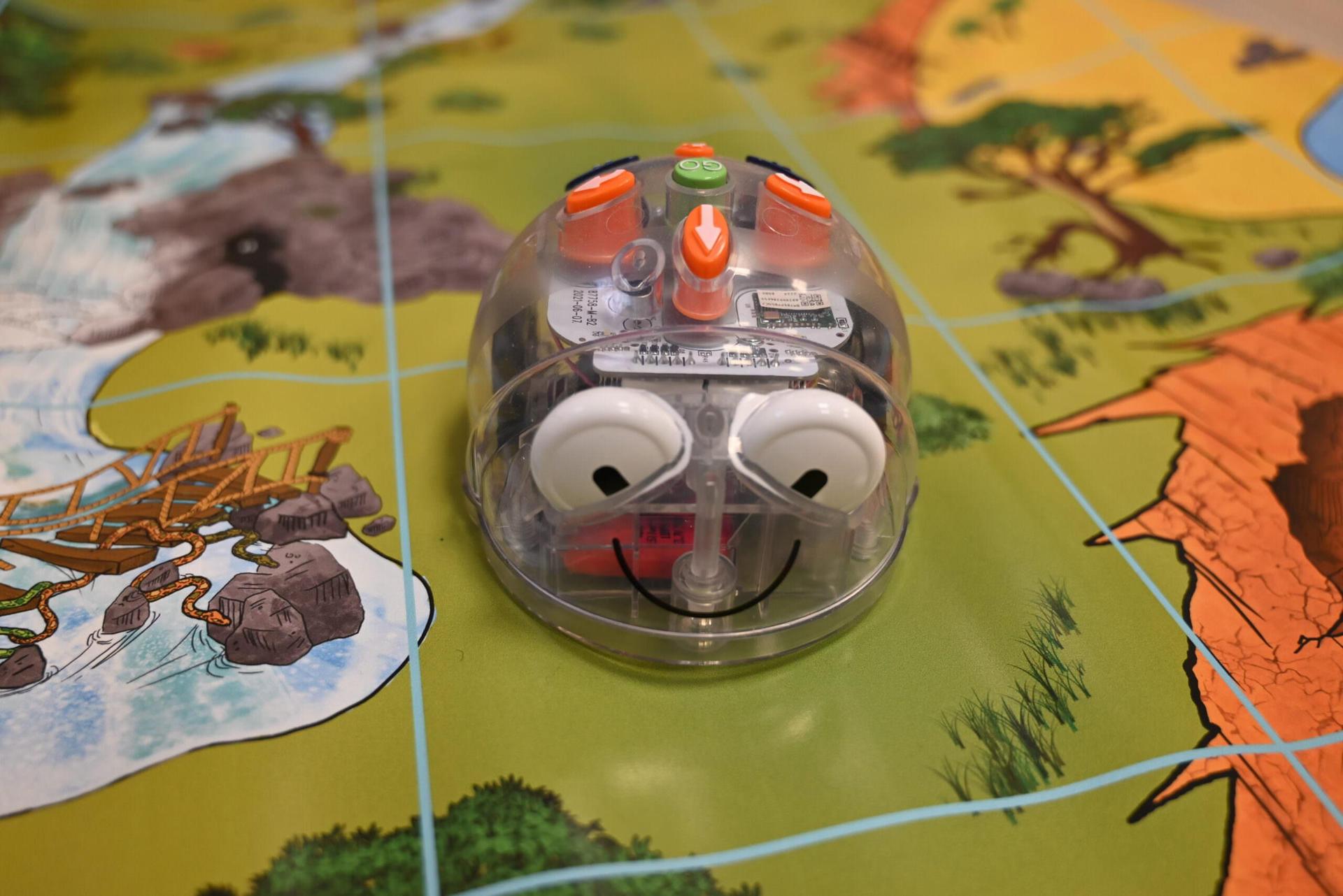 Robotkids bringt Grundschülern die Robotik nahe (Foto: Forum für Kultur und Bildung gemeinnützige UG (haftungsbeschränkt))