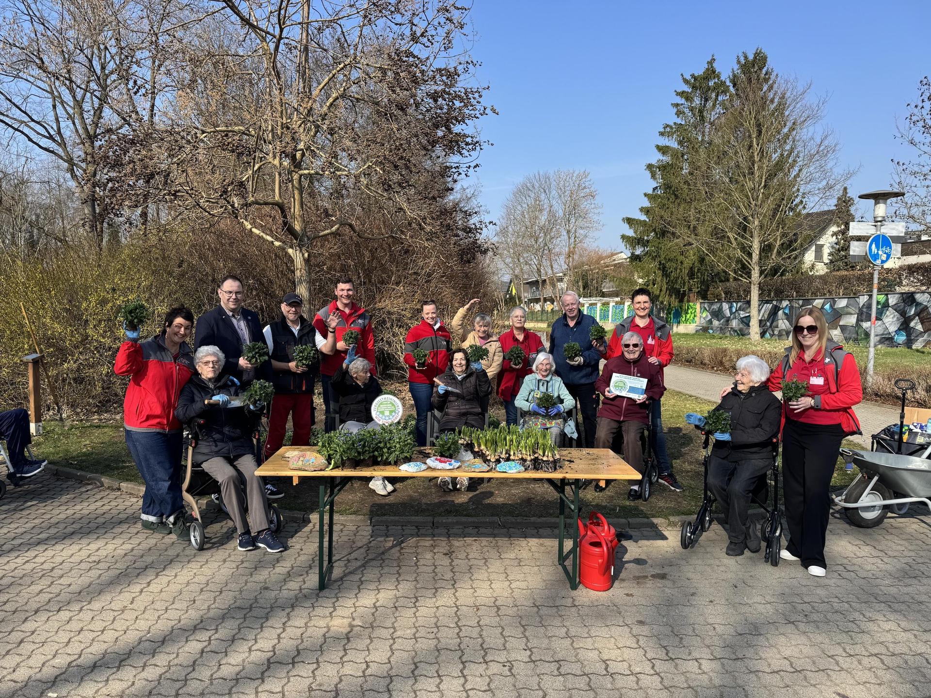 An der Badergasse wurden heute Vergissmeinnicht gepflanzt. (Foto: Daniel Große)