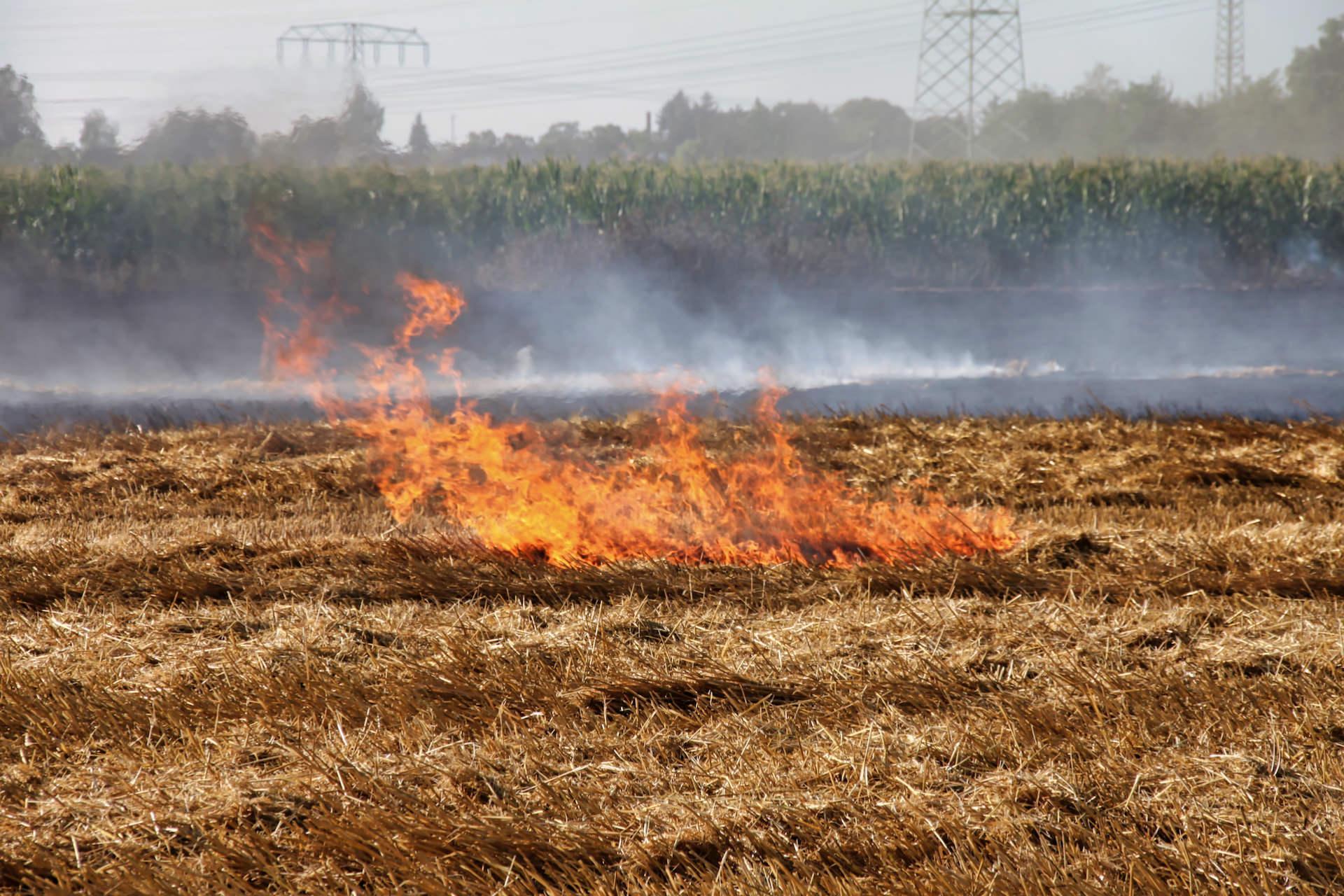 Archivfoto (Foto: taucha-kompakt.de)