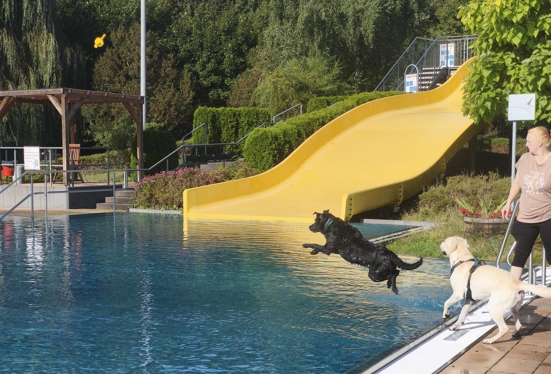 Im vergangenen Jahr feierte der Hundebadetag im PartheBad seine Premiere. (Foto: WOTa)