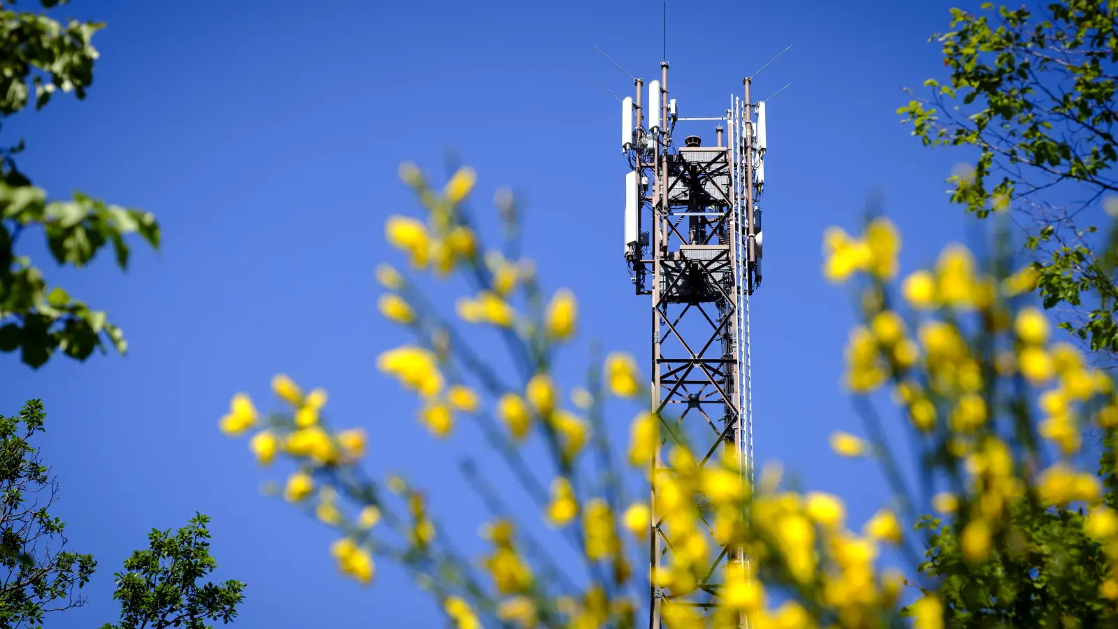 Funkturm der DFMG<br> (Foto: Deutsche Telekom AG **DFMG Deutsche Funkturm GmbH)