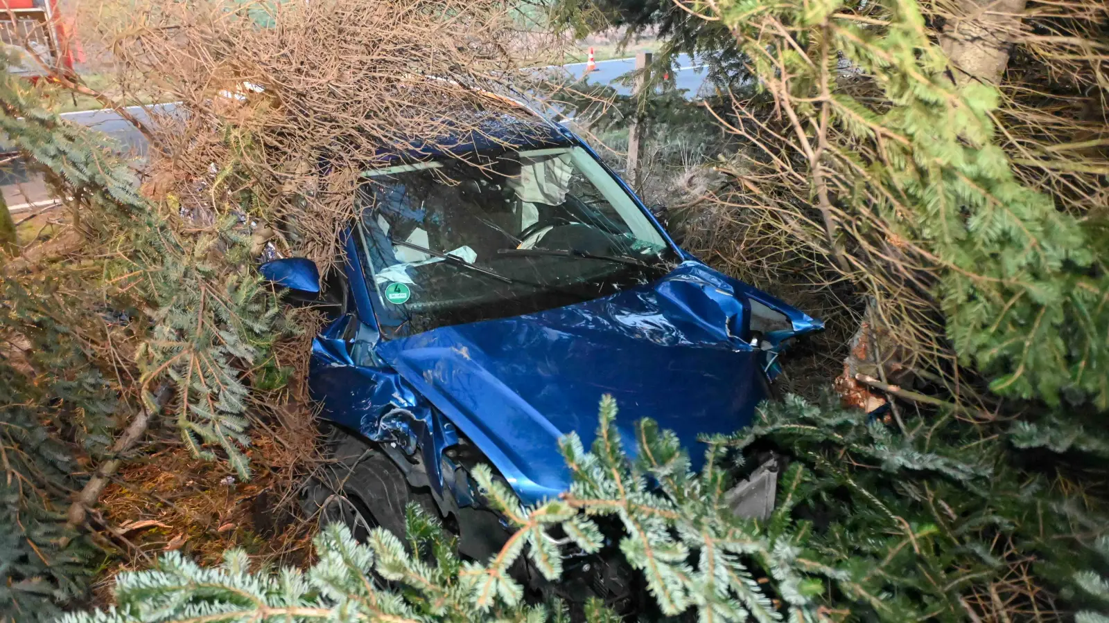 Das Auto fällte mehrere Bäume. (Foto: EHL Media/Erik-Holm Langhof)