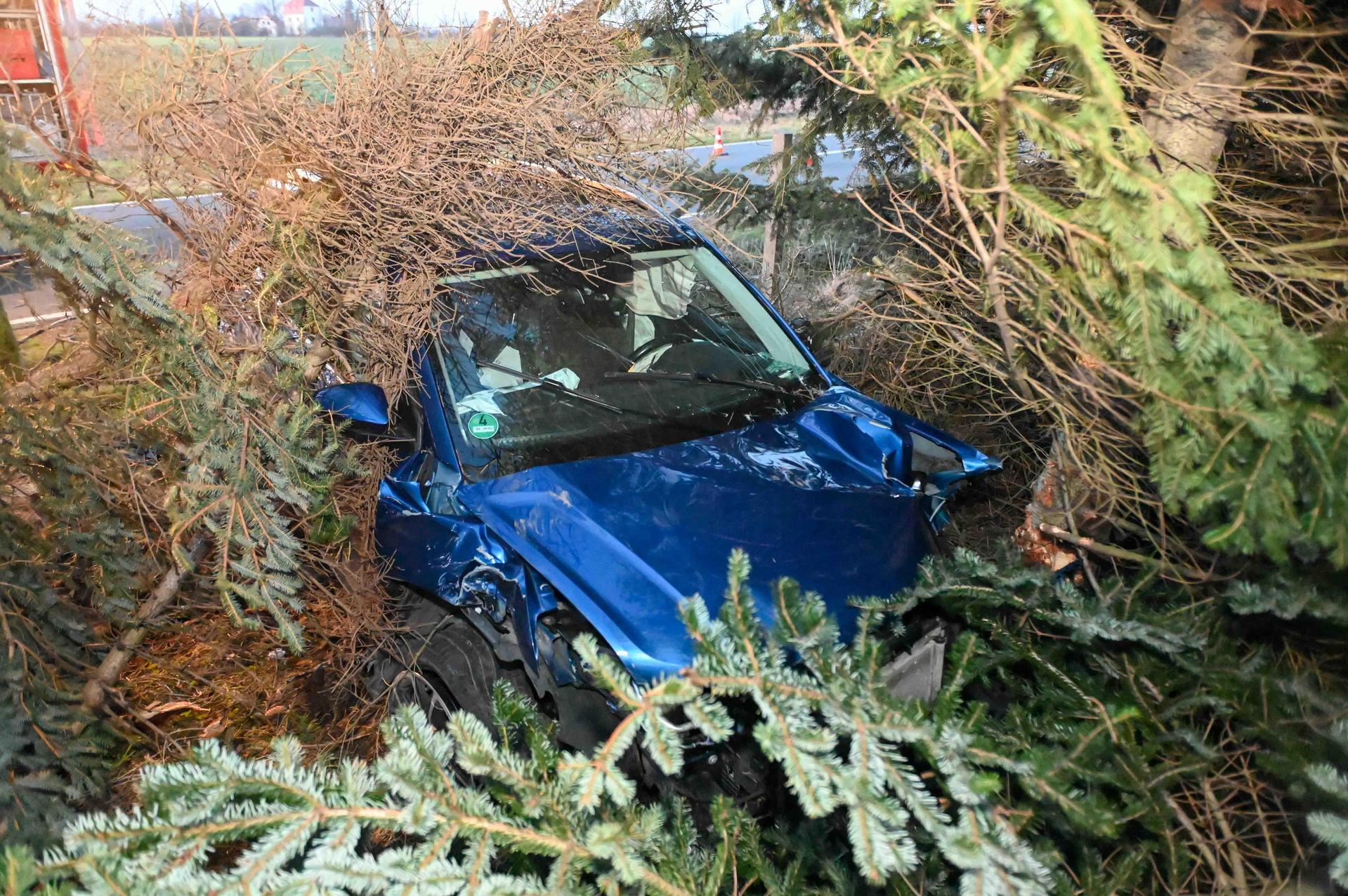 Das Auto fällte mehrere Bäume. (Foto: EHL Media/Erik-Holm Langhof)