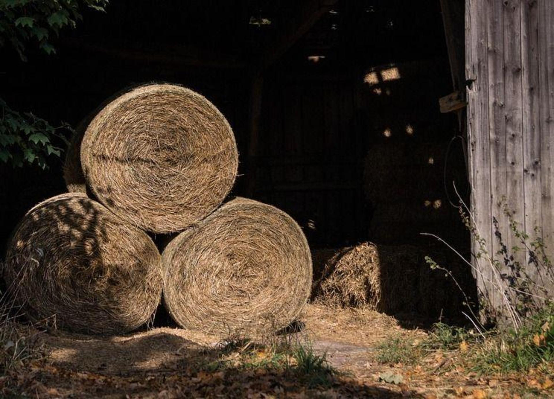 Heuballen brennen und Katalysator ausgebaut (Foto: nordsachsen24.de)
