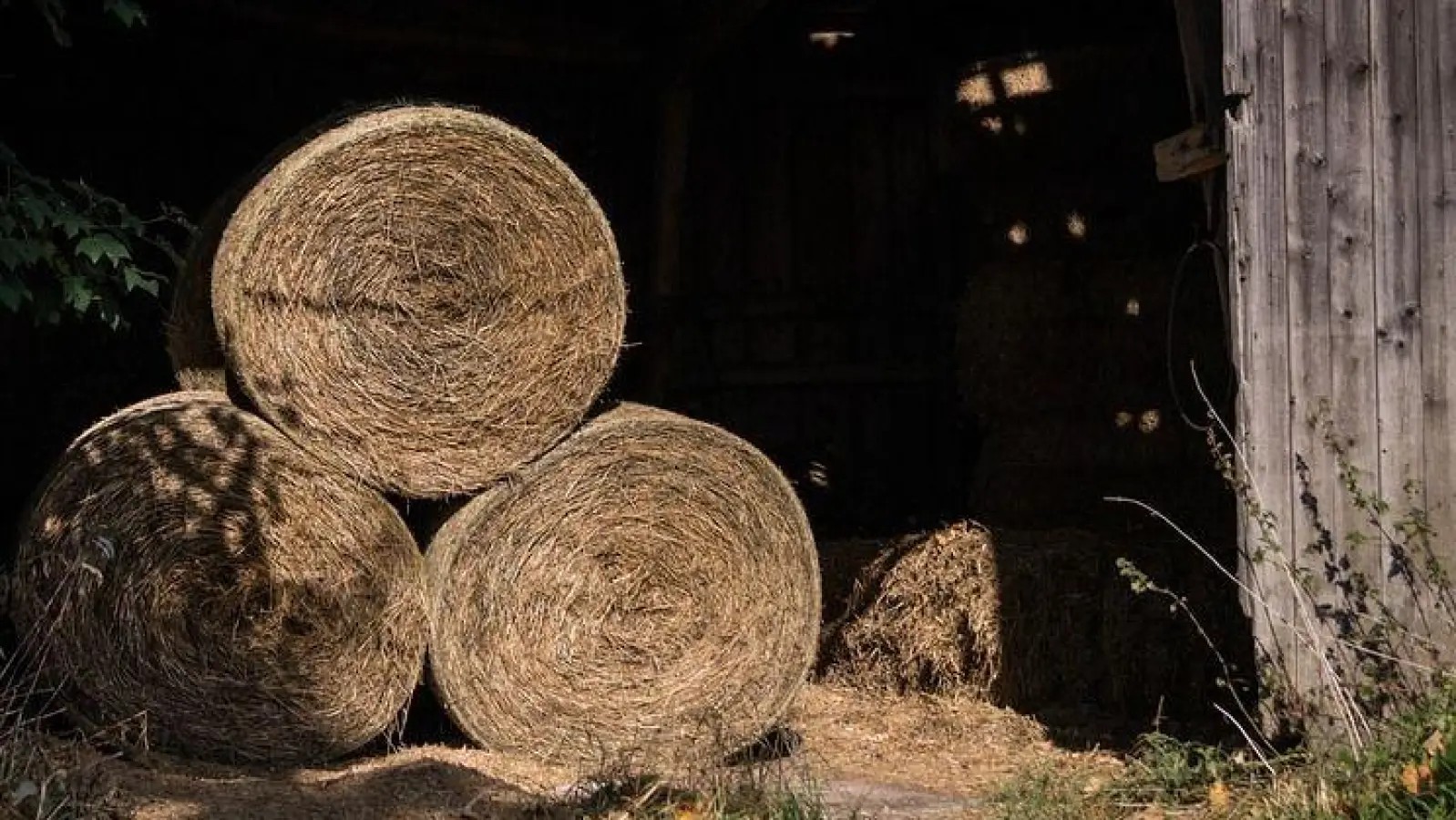 Heuballen brennen und Katalysator ausgebaut (Foto: nordsachsen24.de)