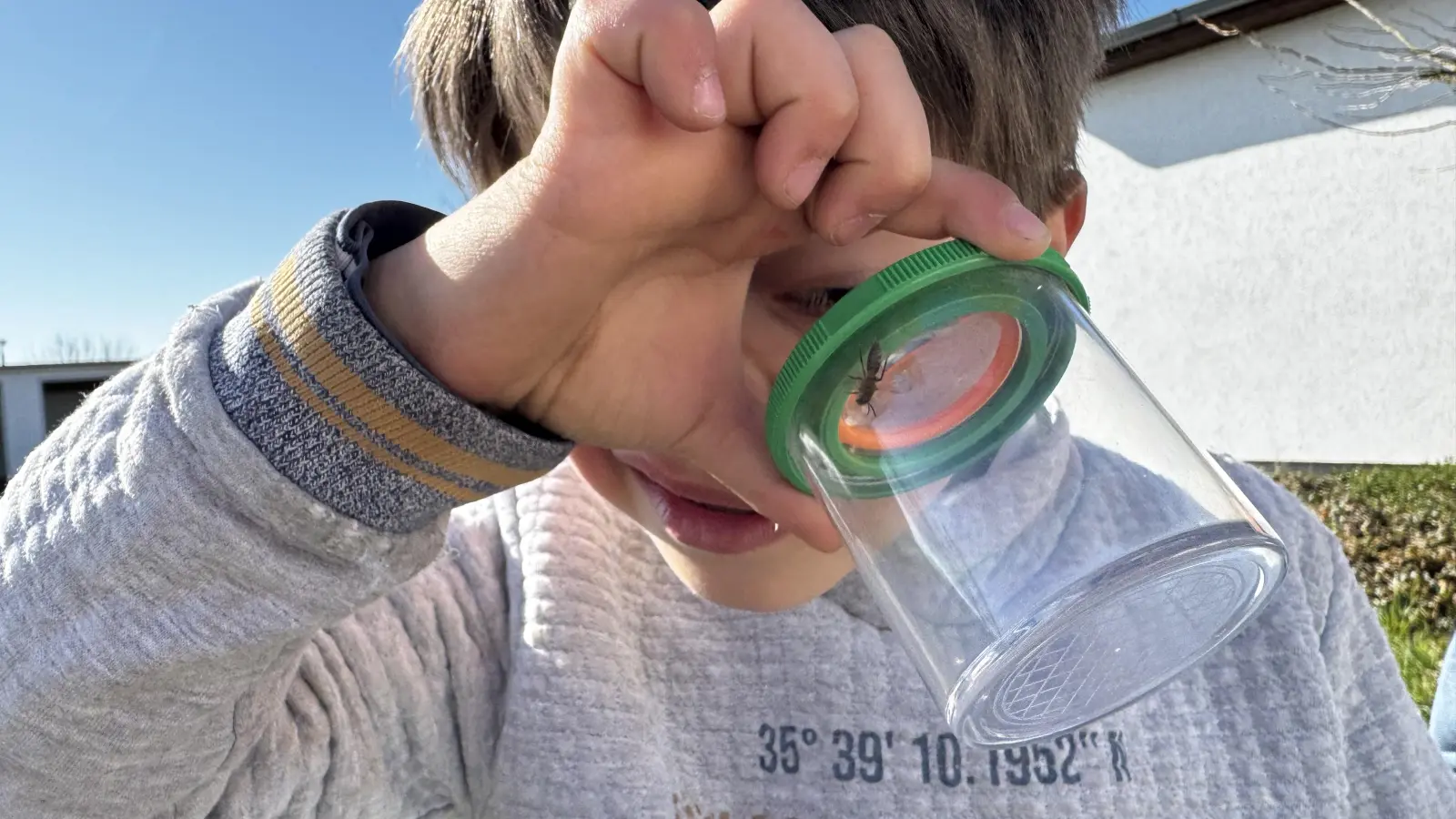 Mit dem Lupenglas Insekten beobachten - und dann wieder frei lassen. Auch das ging beim Schülertag der Firmengruppe Rösl. (Foto: Rösl)