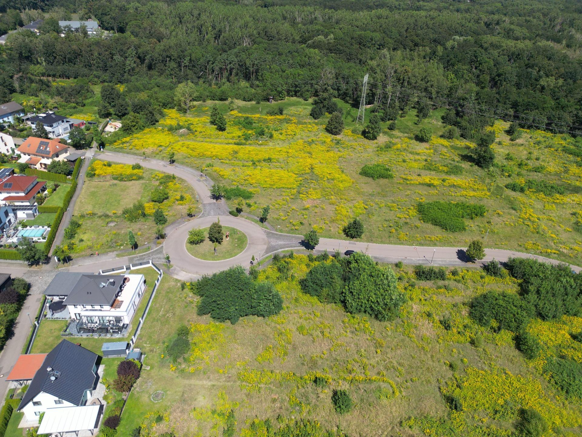 Das bestehende Wohngebiet Waldenau soll erweitert werden. Dagegen richtete sich in den vergangenen Monaten erheblicher Widerstand der Anwohner. (Foto: Daniel Große)