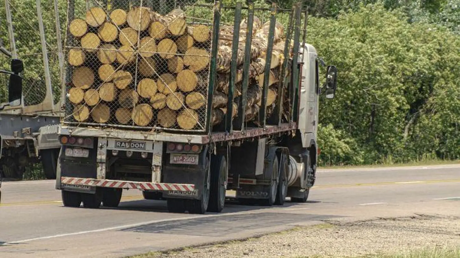 Holztransport (Foto: Pixabay)