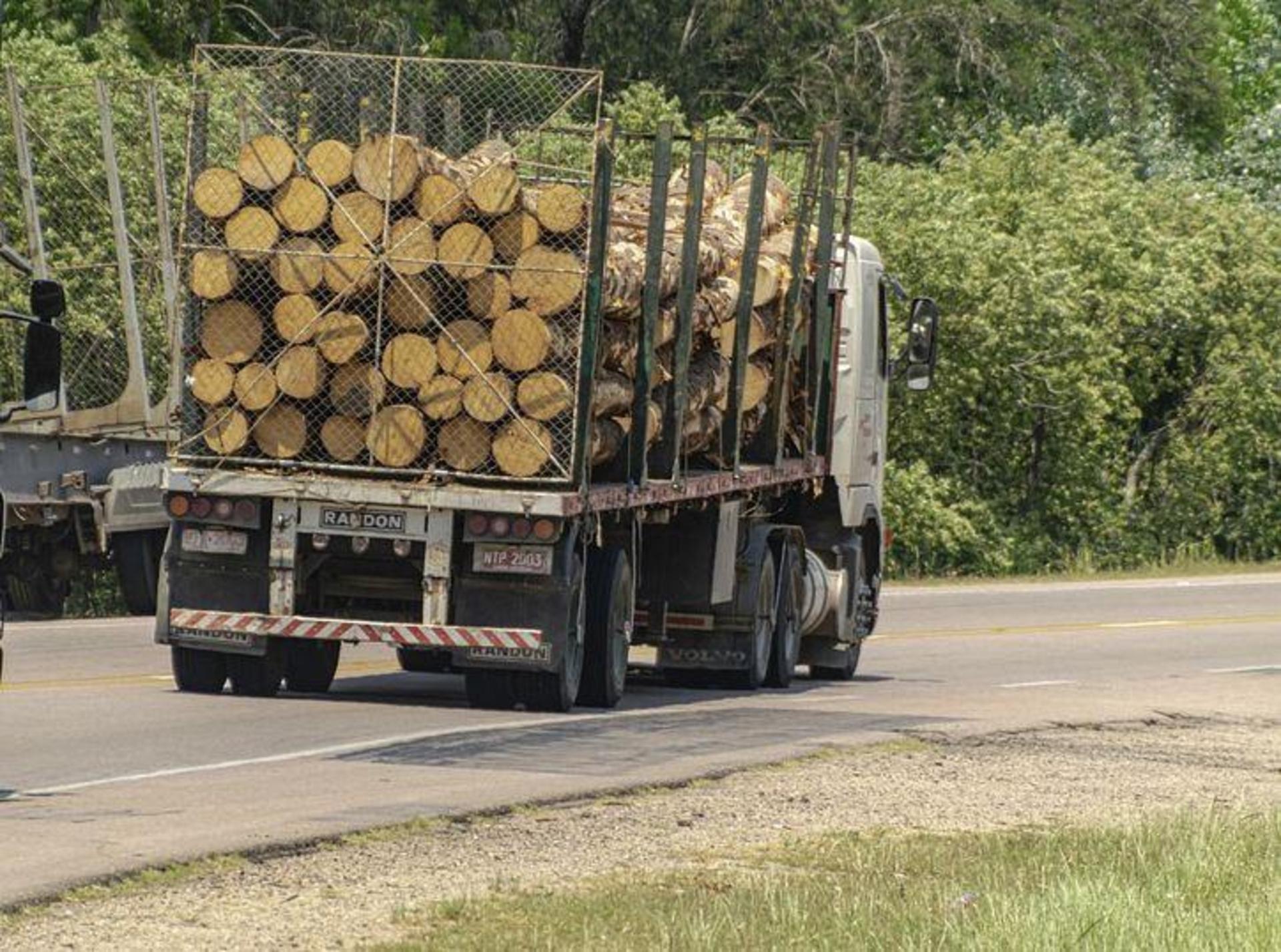Holztransport (Foto: Pixabay)