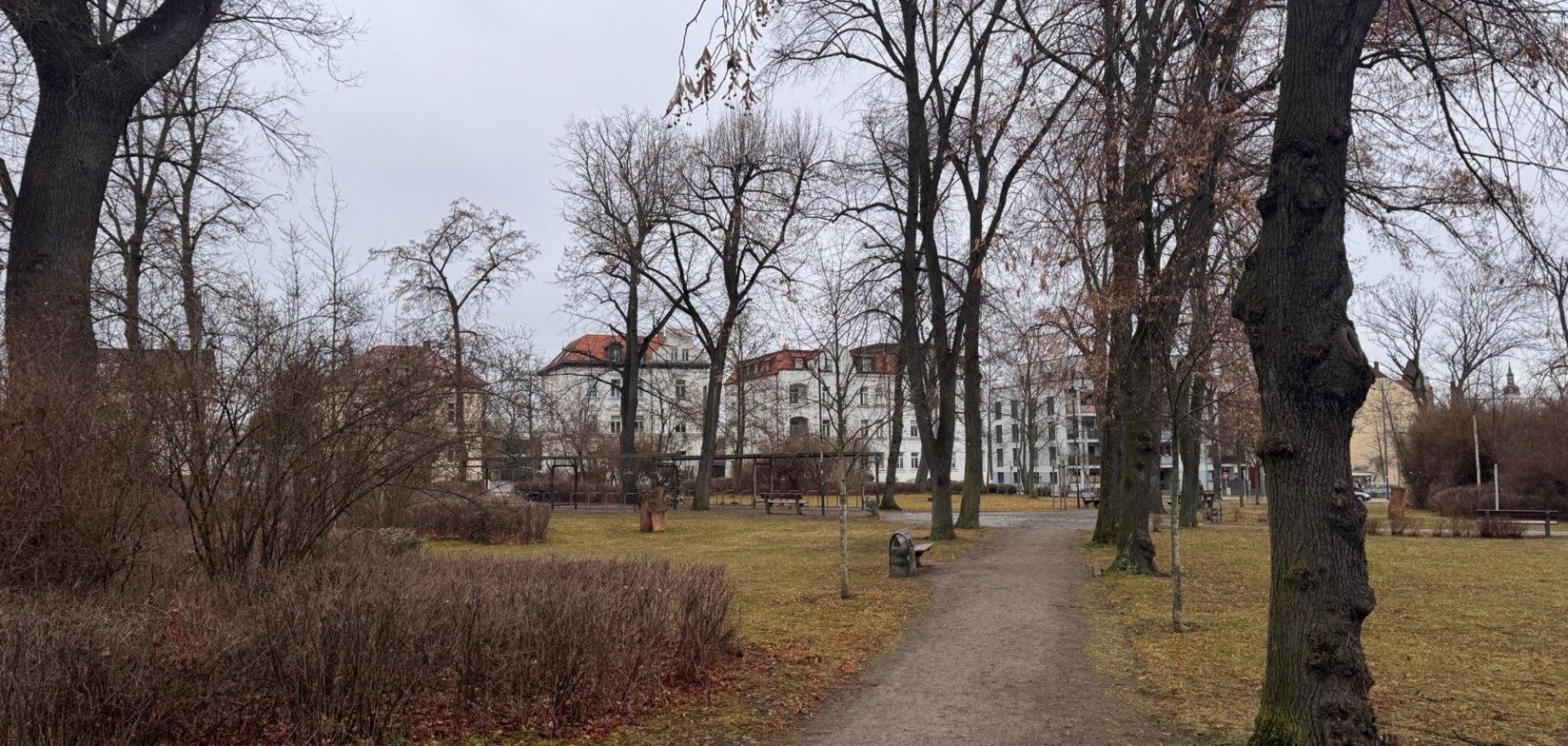 An der Bürgerruhe müssen Bäume gefällt werden.  (Foto: Stadtverwaltung Taucha)