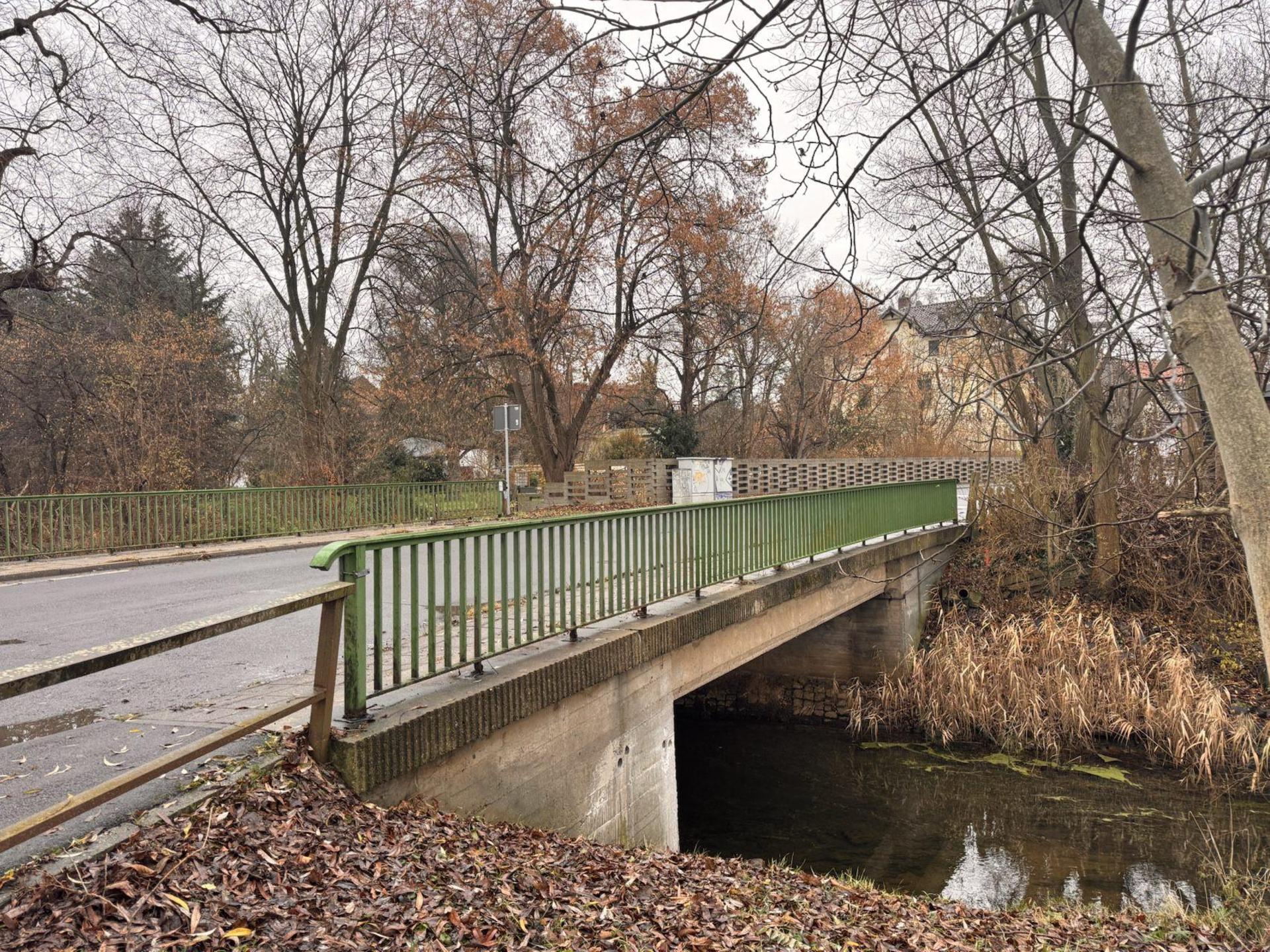Die Brücke über die Parthe in Plösitz muss neu gebaut werden. Zuerst stehen Baumfällungen an. (Foto: Daniel Große)