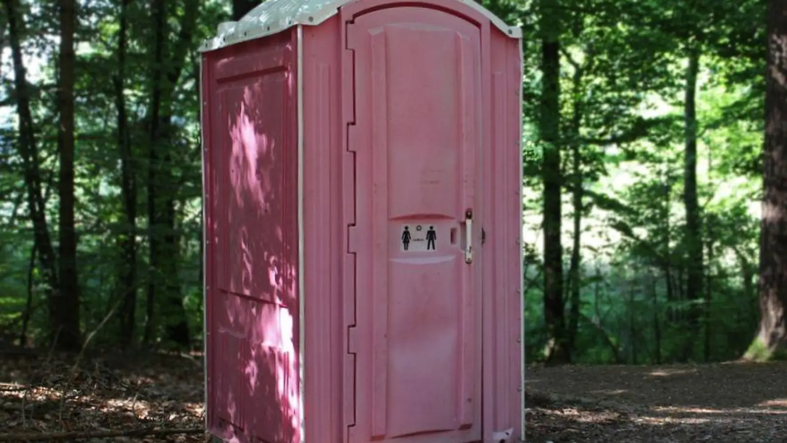 Dixi-Klo (Symbolbild: Pixabay)