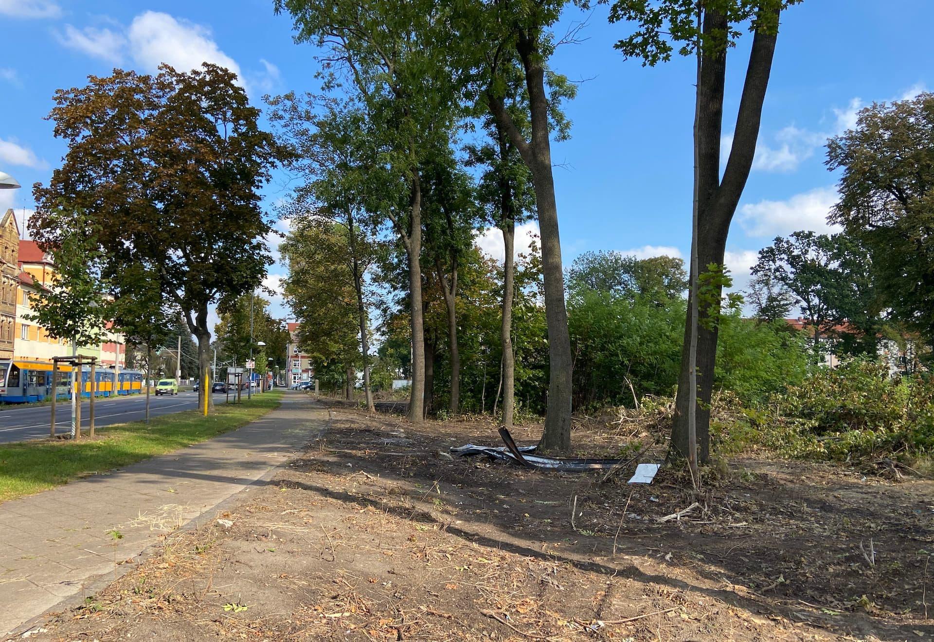 Die Brachfläche an der B87 / Leipziger Straße wird seit Jahrzehnten nicht entwickelt. (Foto: taucha-kompakt.de)