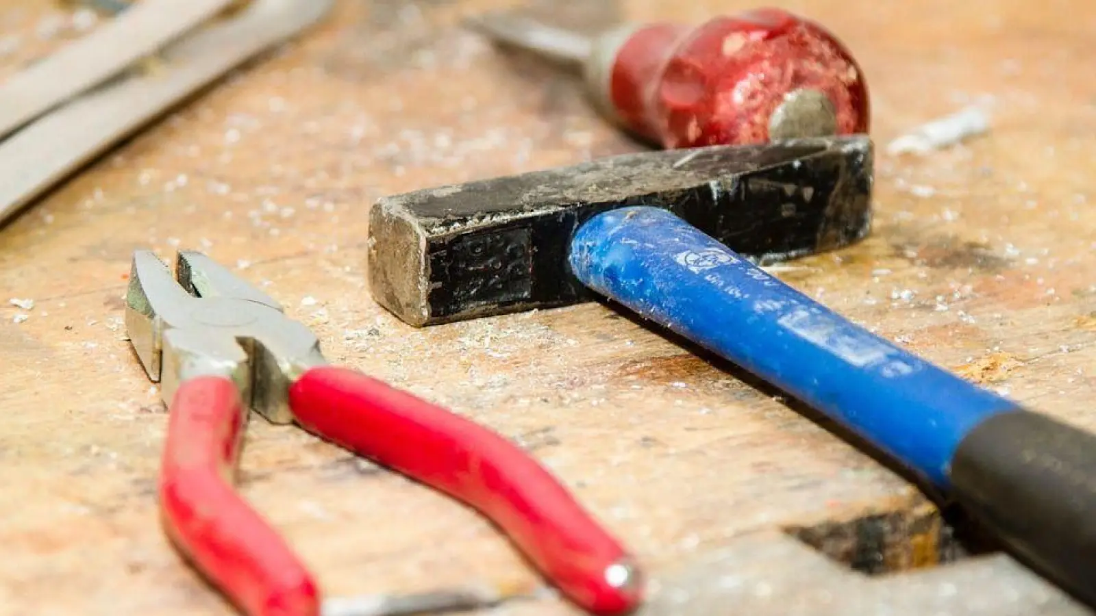 Onlinebörse des Landkreises zu Ferienjobs und Praktika (Foto: nordsachsen24.de)
