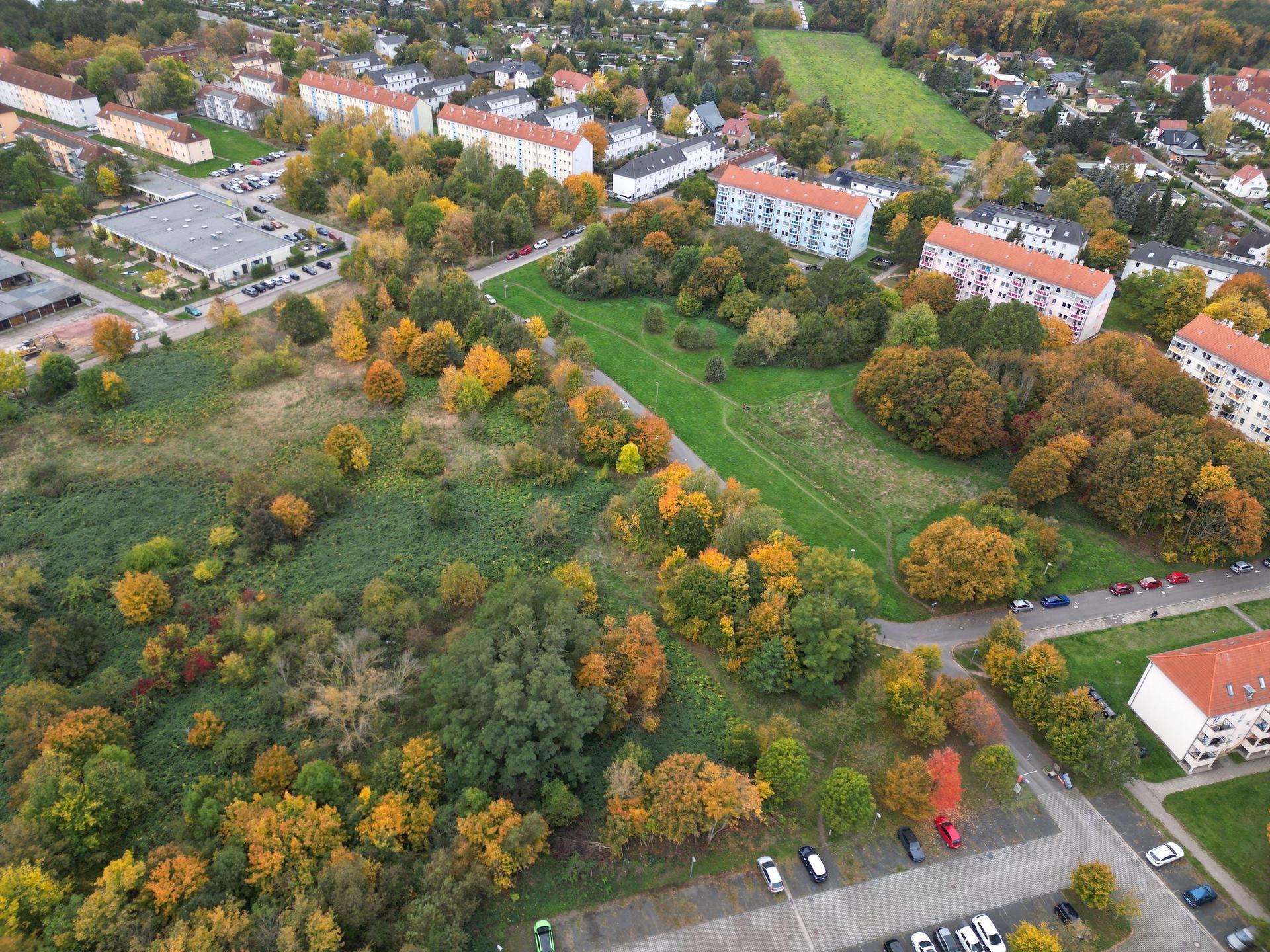 Die neue Judohalle und das SportEUm sollen auf den Ebert-Wiesen gebaut werden. Hier ein Foto aus dem Oktober 2024. (Archivbild: Daniel Große)