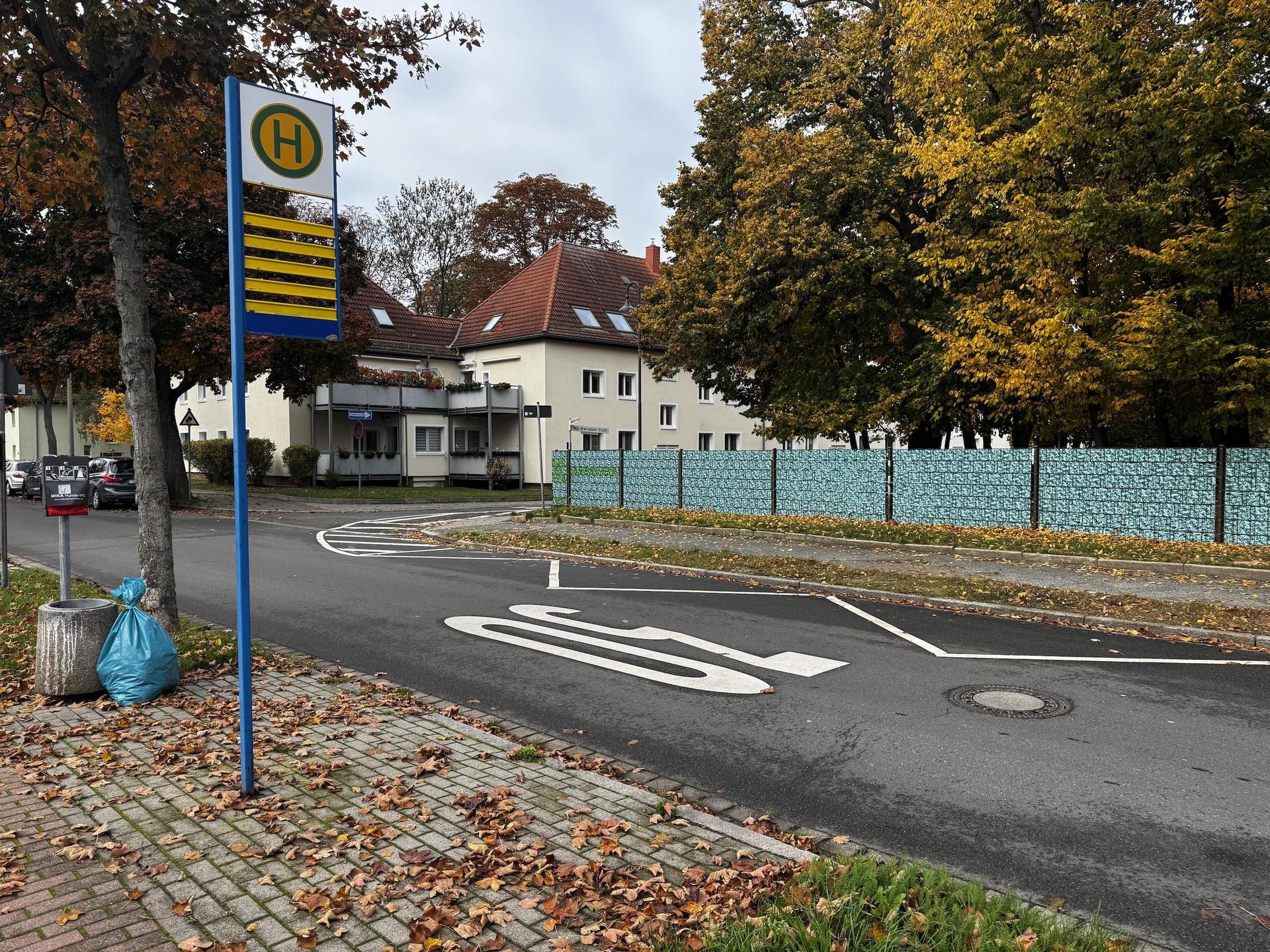 An dieser Stelle der Klebendorfer Straße soll die Querungshilfe aufgebaut werden. (Foto: Daniel Große)