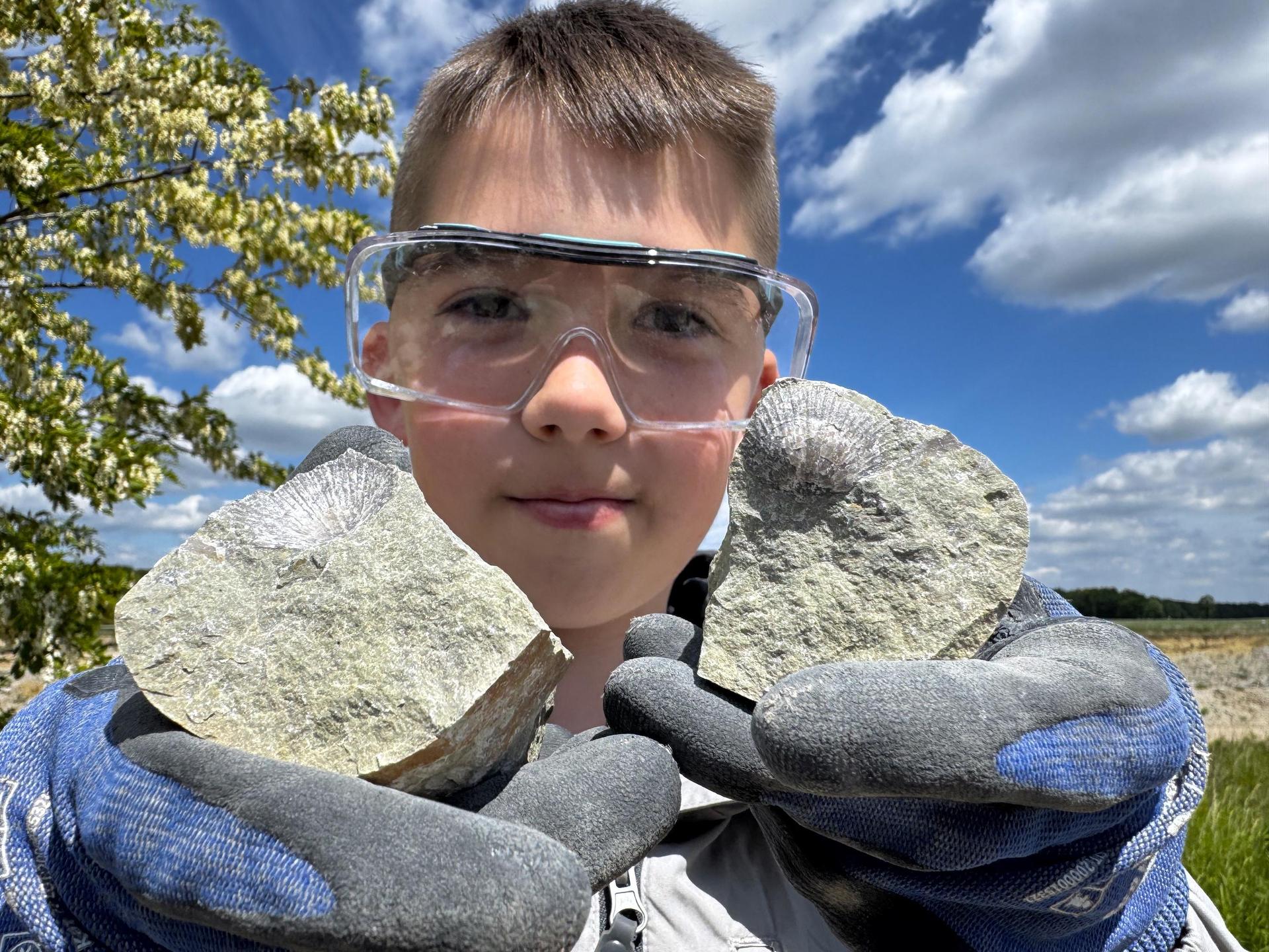 Der Tauchaer Schüler Philipp Nauhardt entdeckte beim Tag der offenen Tür ein Fossil in einem Stein. (Foto: Daniel Große)