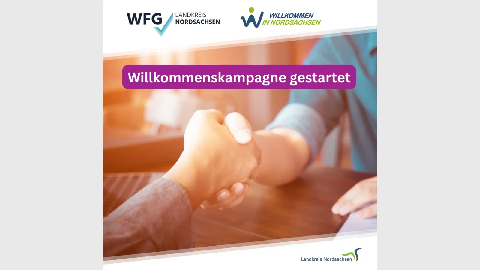 Illustration für die Willkommenskampagne (Grafik: Landratsamt Nordsachsen)