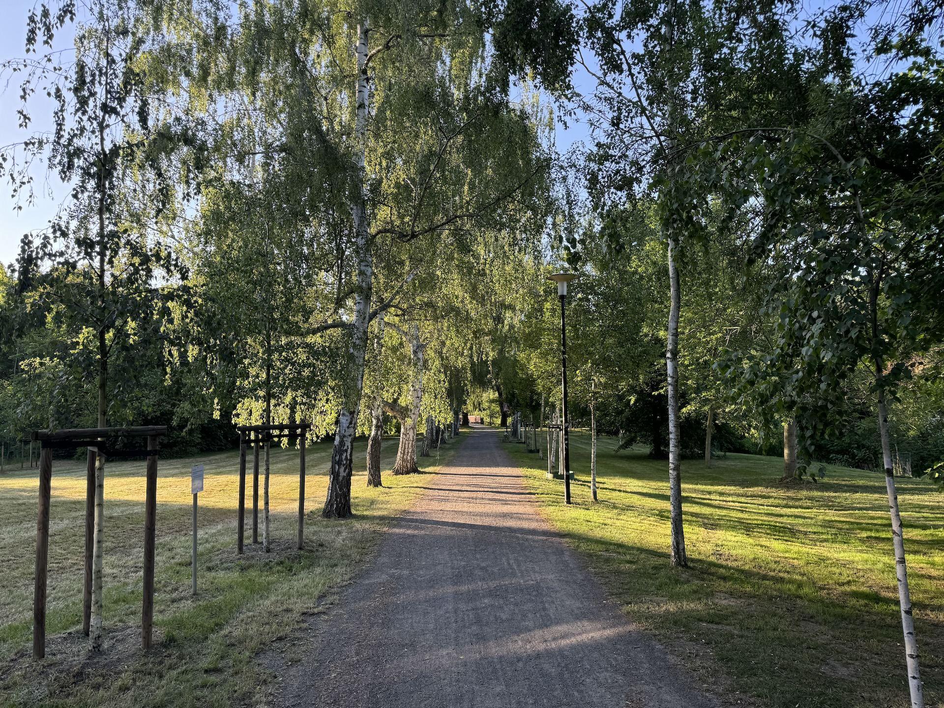 Ab Ende Juni wird der Weg in der Glockentiefe saniert. (Foto: Daniel Große)