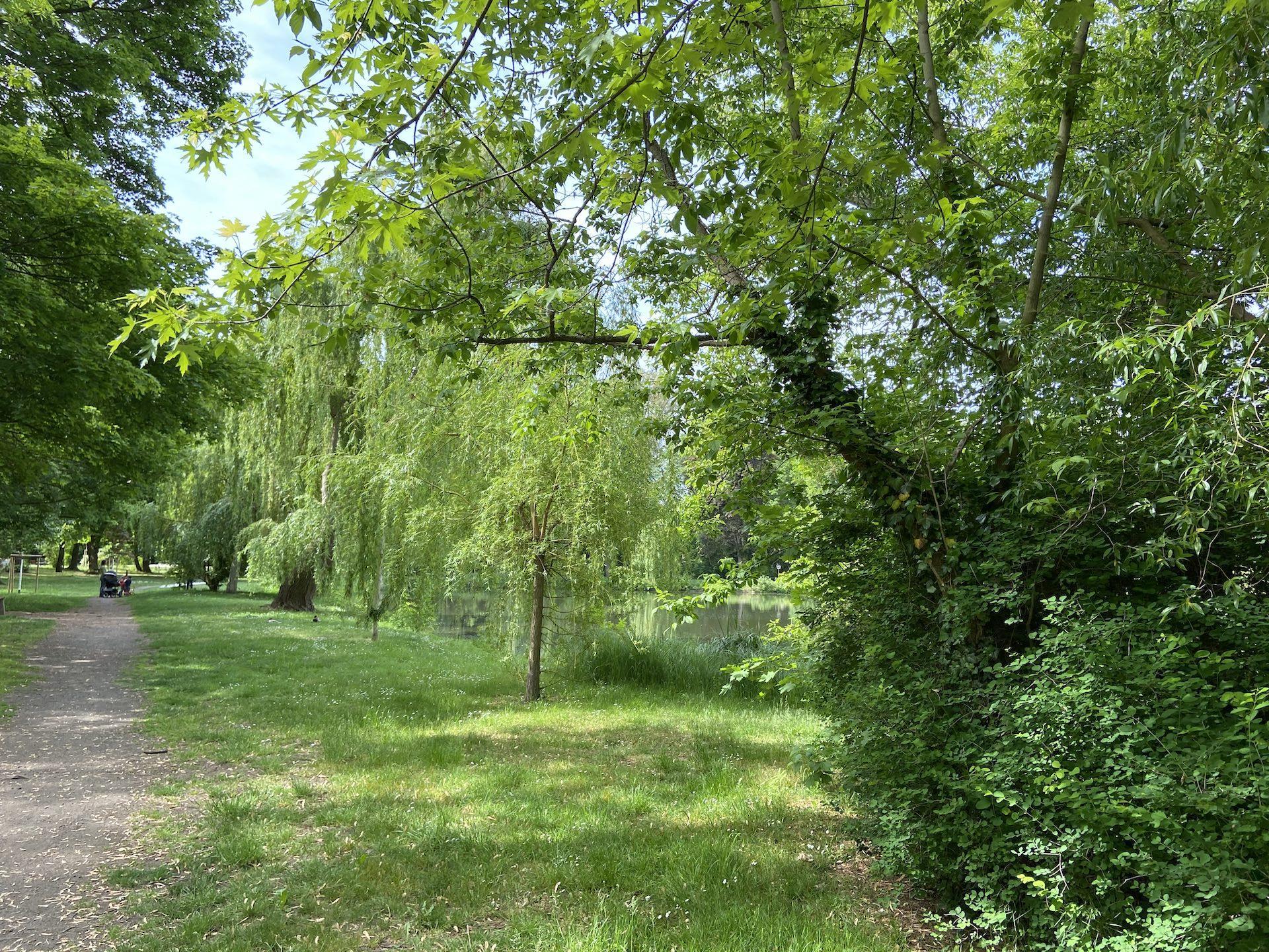 Entspannen geht auch in Tauchas Stadtpark (Foto: Taucha kompakt)