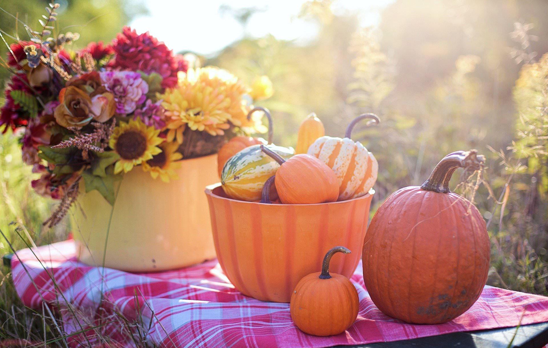 Kommentar: Aus dem Tauchaer Kartoffelfest wird endlich ein Herbstmarkt (Foto: taucha-kompakt.de)