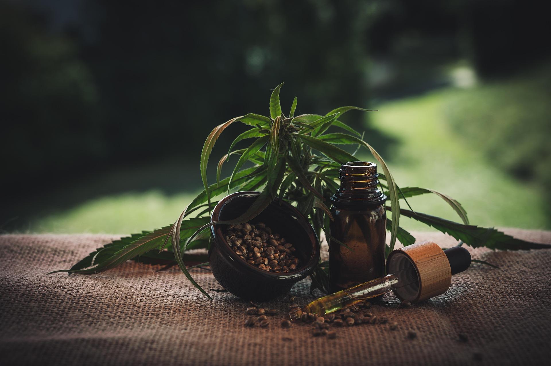 CBD gibt es in vielen Darreichungsformen, etwa als Öl. (Foto: Pixabay)