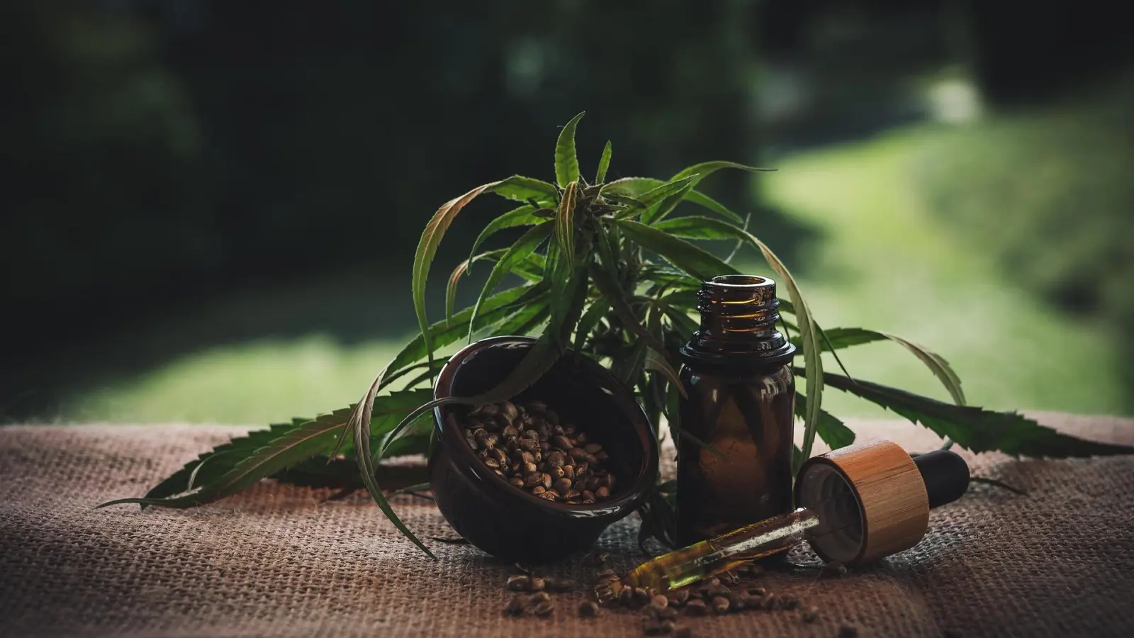 CBD gibt es in vielen Darreichungsformen, etwa als Öl. (Foto: Pixabay)