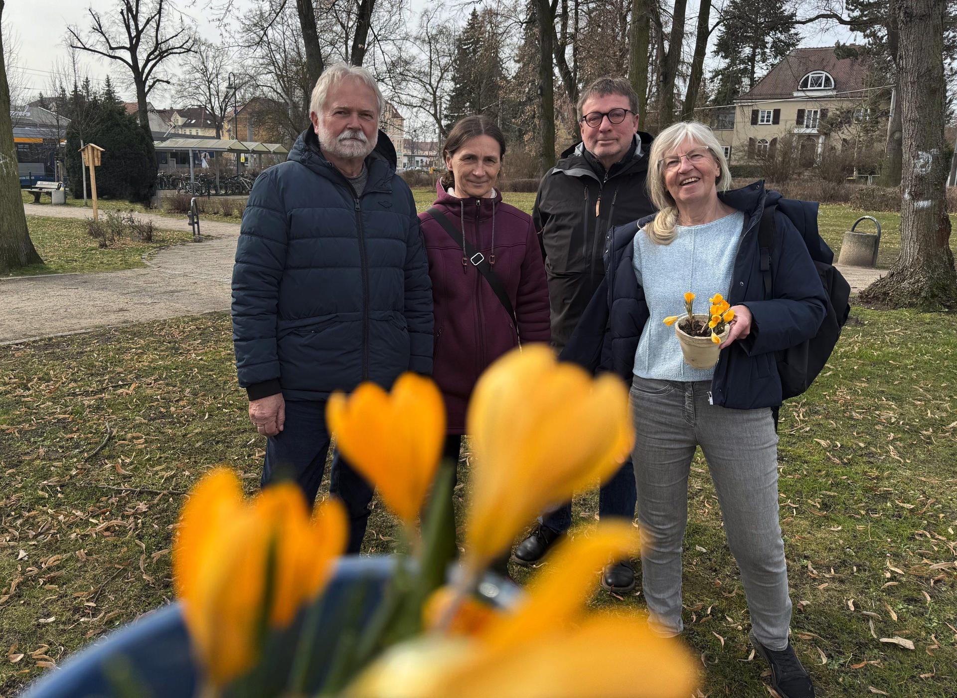 Noch sind sie nur symbolhaft, doch Karin Bauer, Hartmut Nevoigt, Barbara Kolditz und Berndt Bauer wollen mit Hilfe der Tauchaer an der Bürgerruhe 16.000 Krokusse pflanzen. (Foto: Daniel Große)
