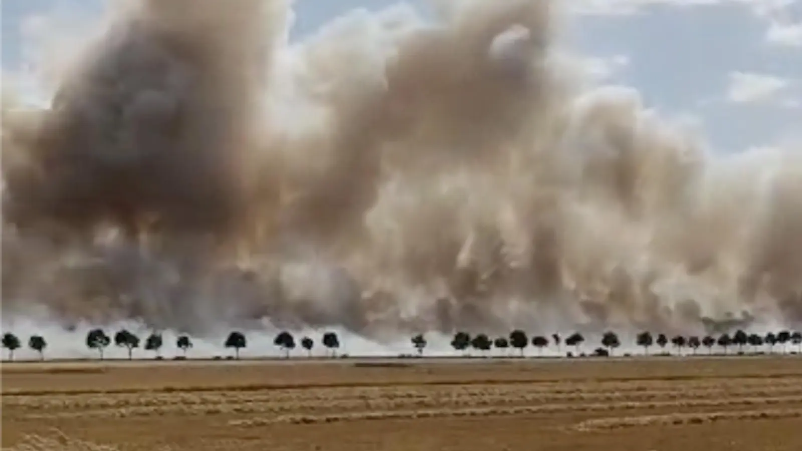 Feldbrand bei Audenhain, Waldbrand bei Gruna (Foto: nordsachsen24.de)